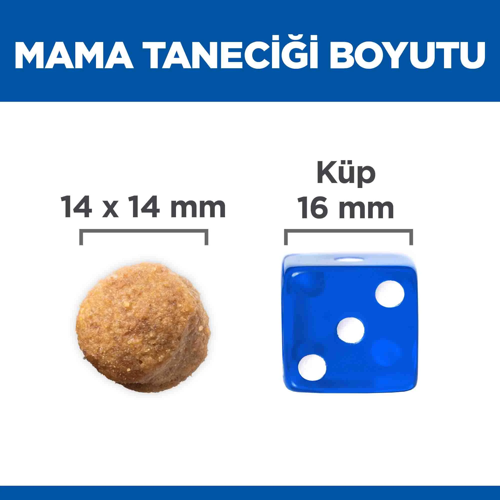 Görsel küçük resim 3