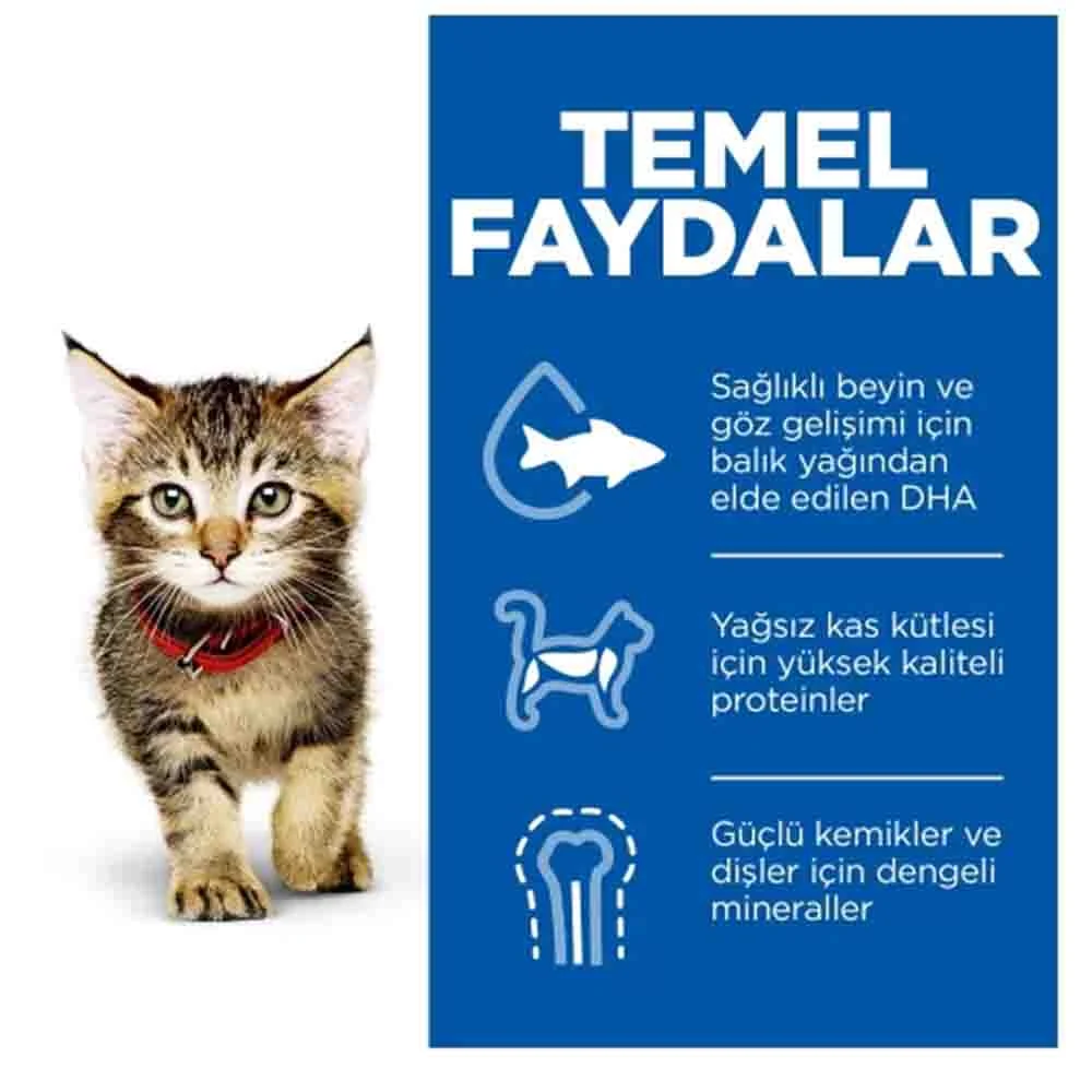Görsel küçük resim 5
