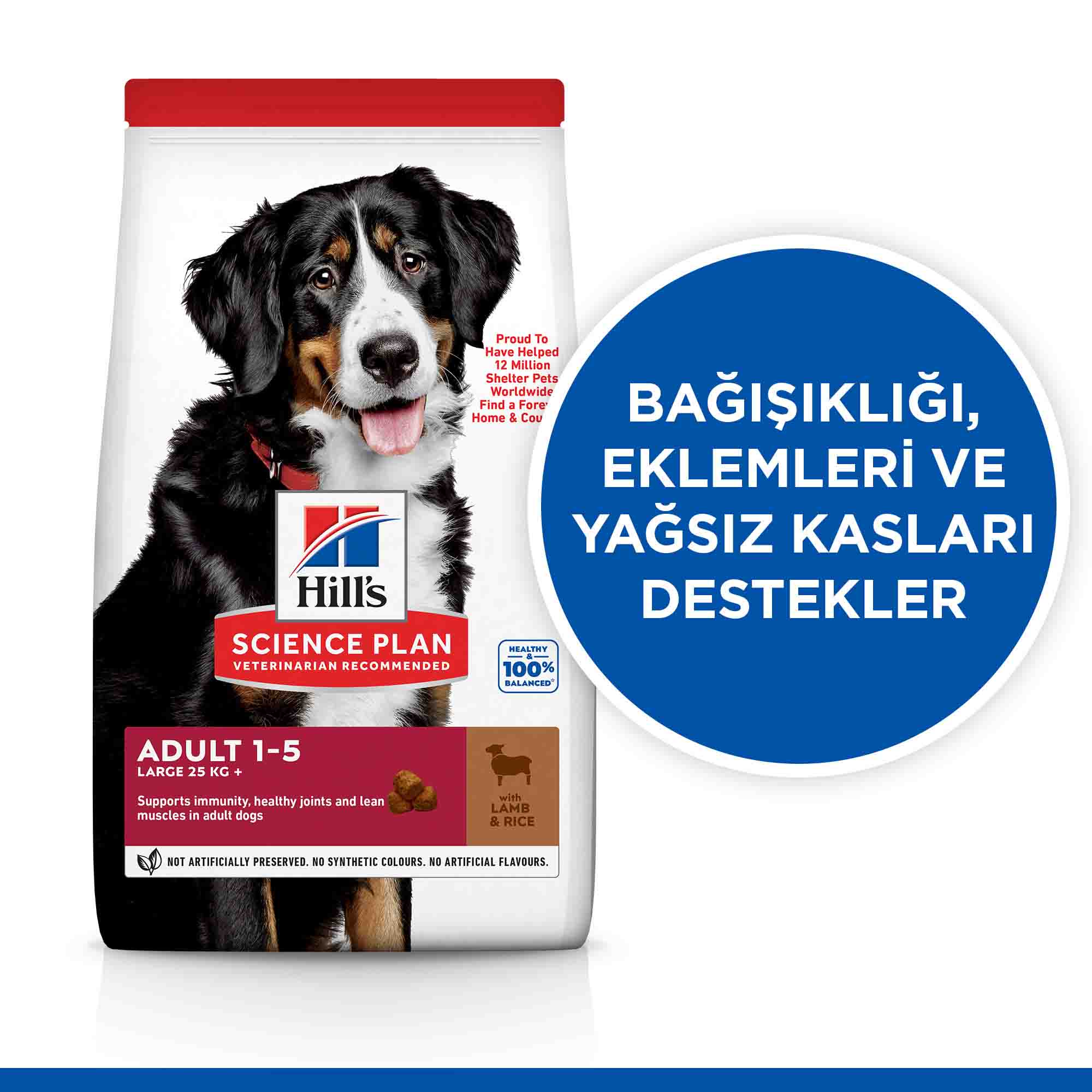 Görsel küçük resim 2