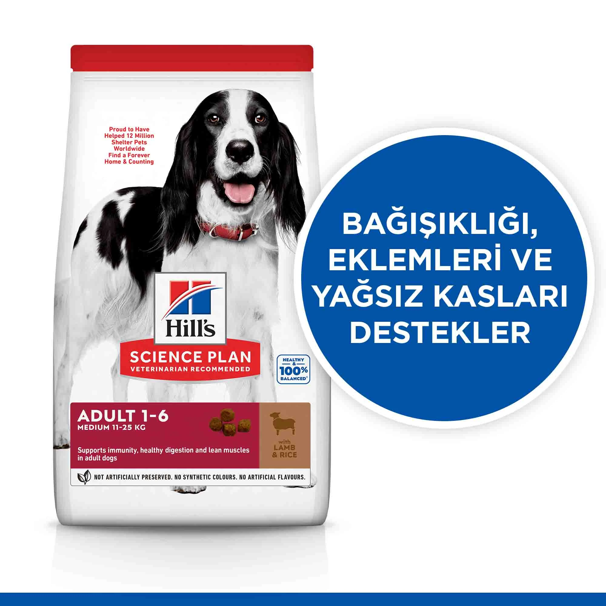 Görsel küçük resim 3