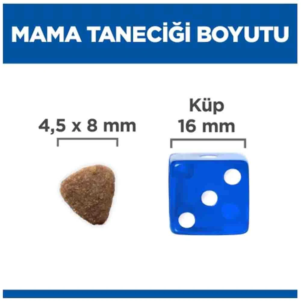 Görsel küçük resim 6
