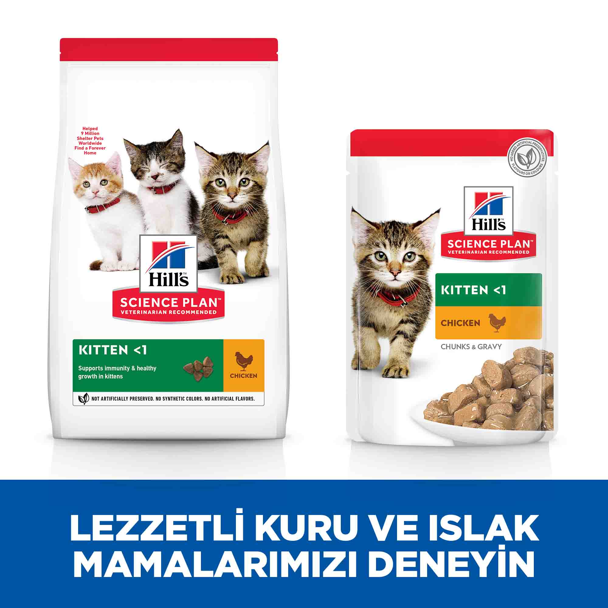 Görsel küçük resim 4