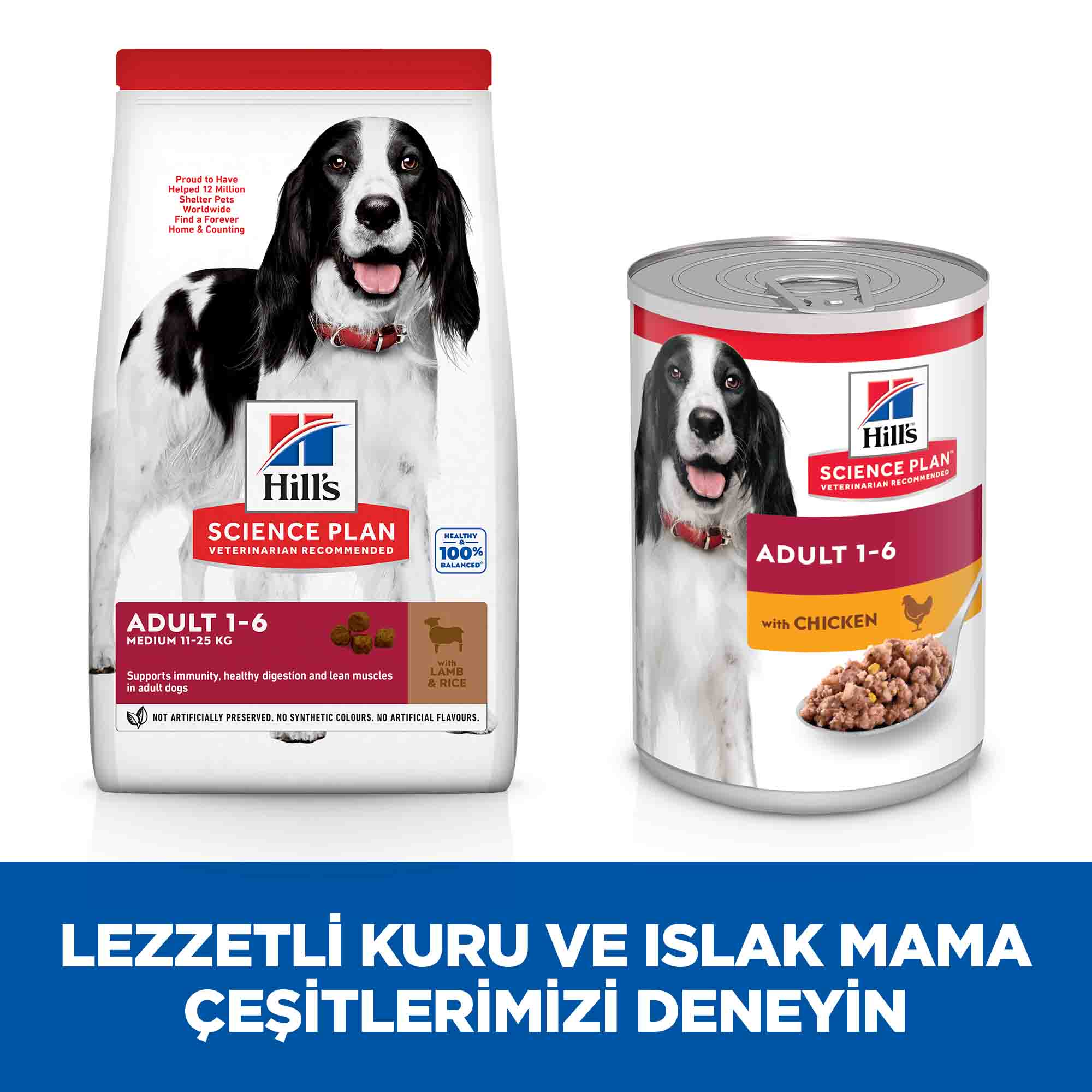 Görsel küçük resim 4