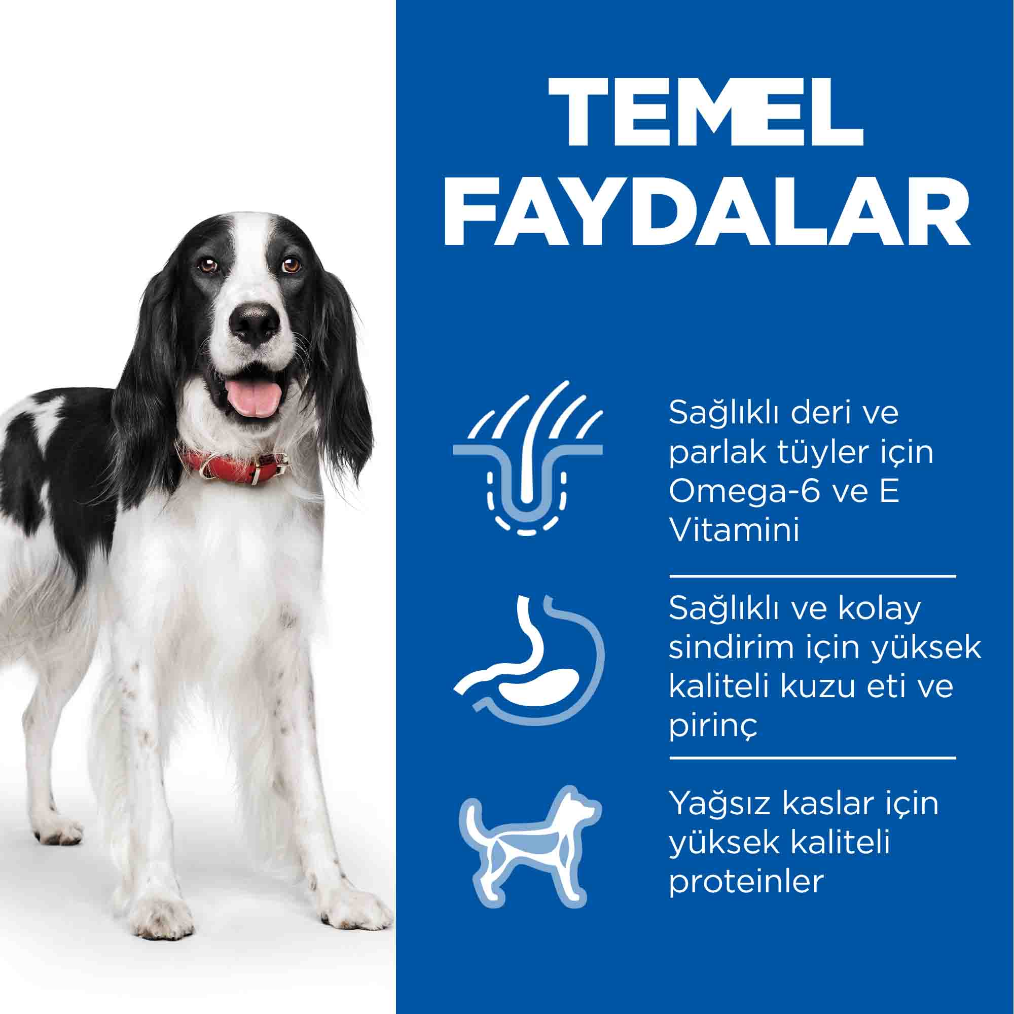 Görsel küçük resim 5