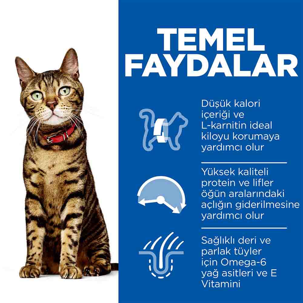 Görsel küçük resim 4