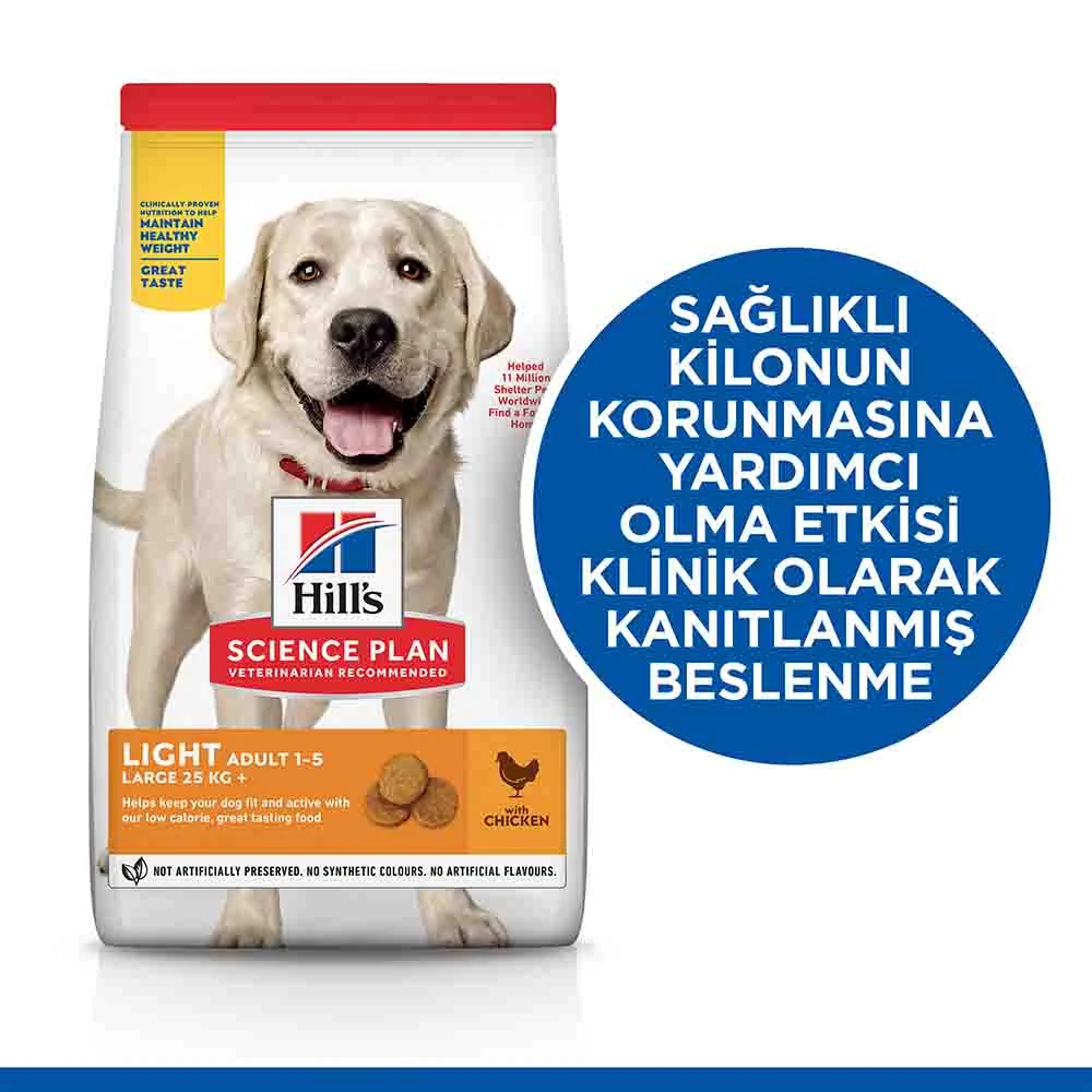 Görsel küçük resim 4