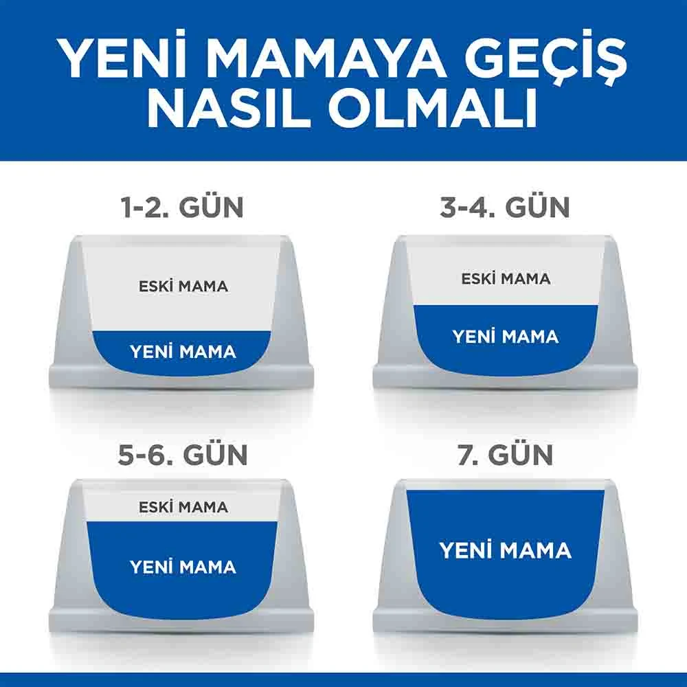 Görsel küçük resim 6