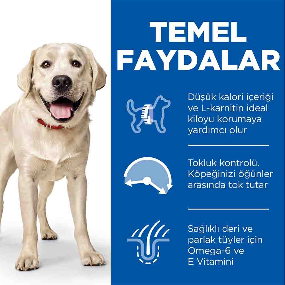 Görsel küçük resim 5