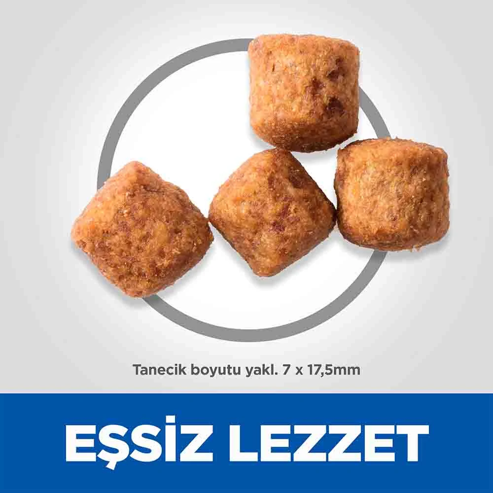 Görsel küçük resim 8