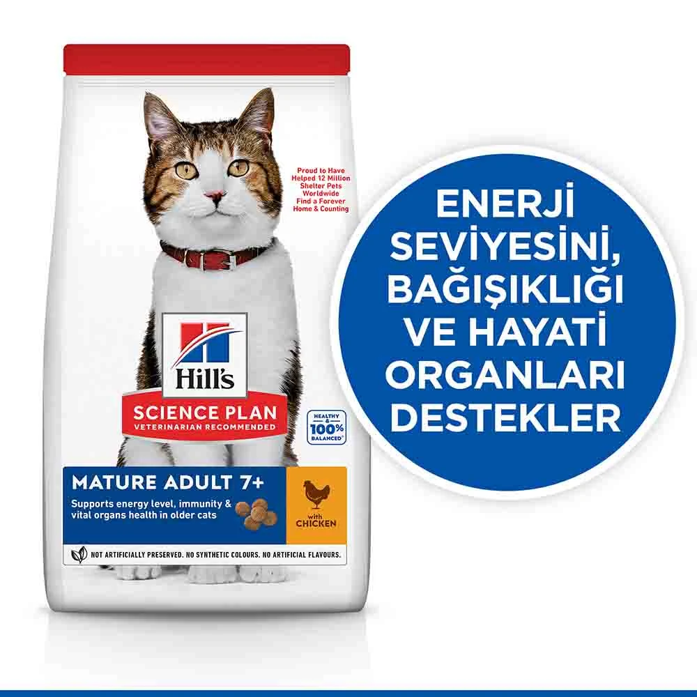 Görsel küçük resim 2
