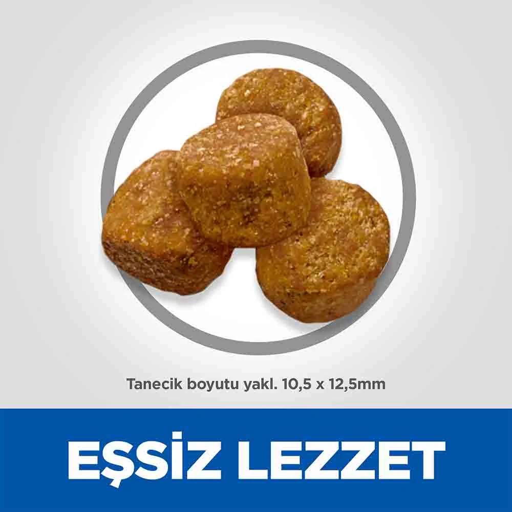 Görsel küçük resim 5