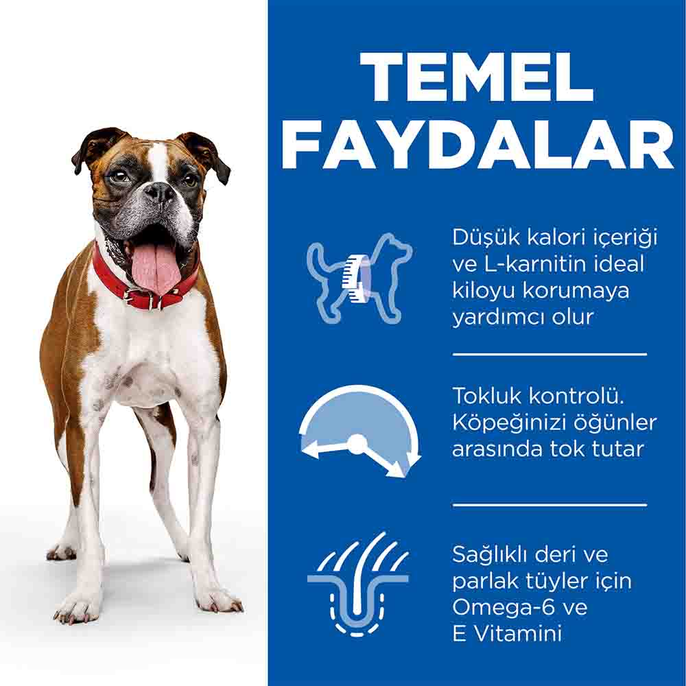 Görsel küçük resim 4