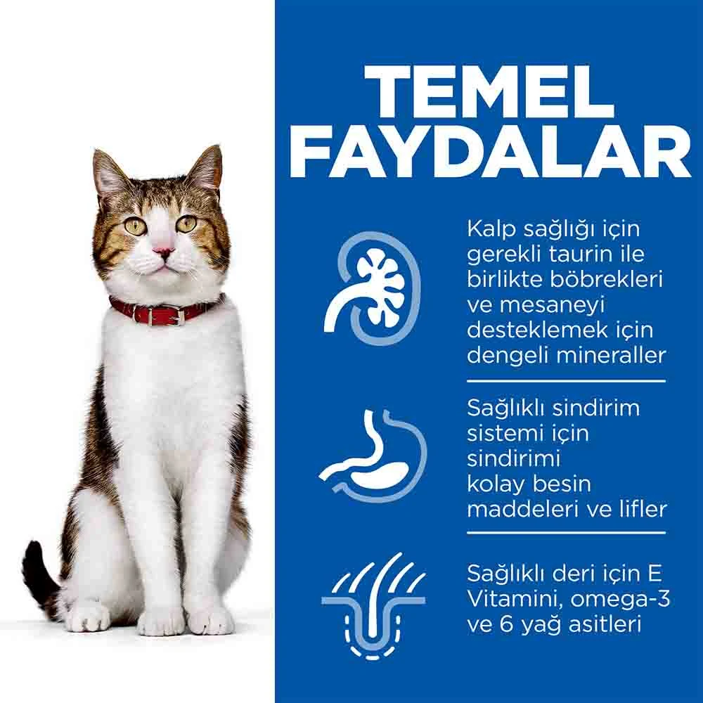 Görsel küçük resim 4