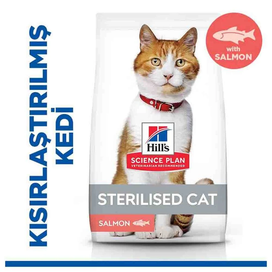 Görsel küçük resim 5