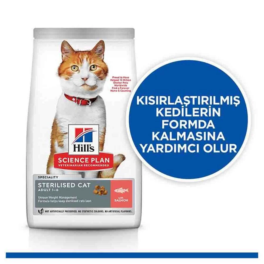 Görsel küçük resim 6