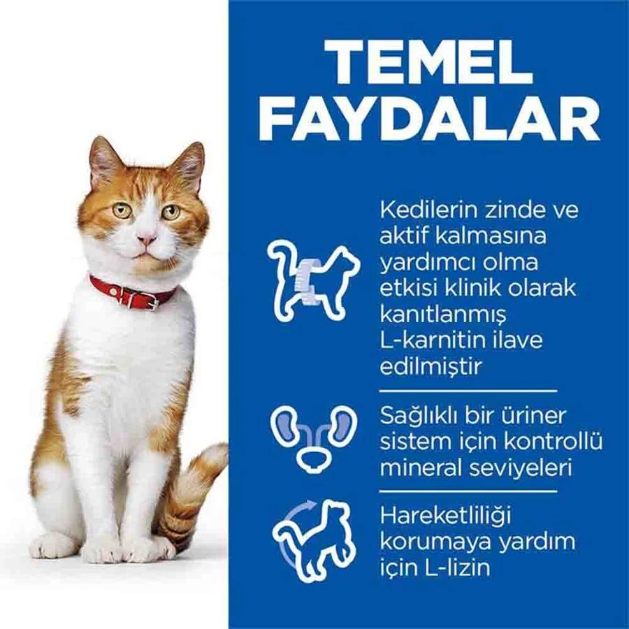Görsel küçük resim 7