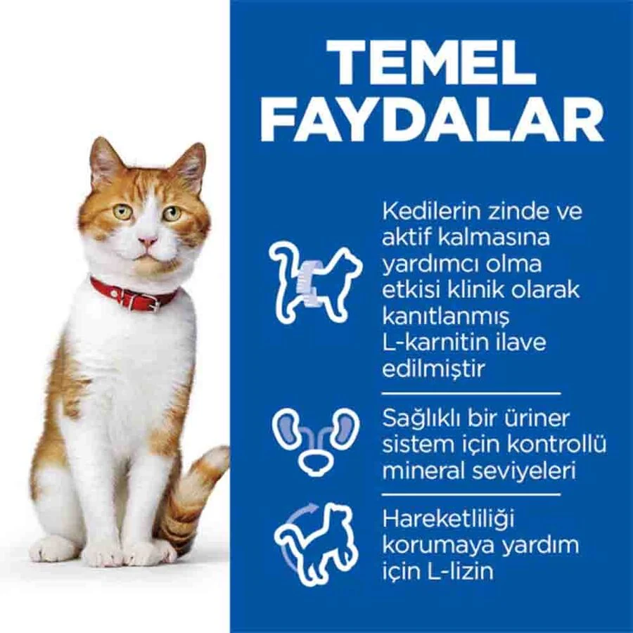 Görsel küçük resim 3