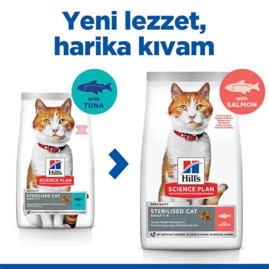 Görsel küçük resim 4