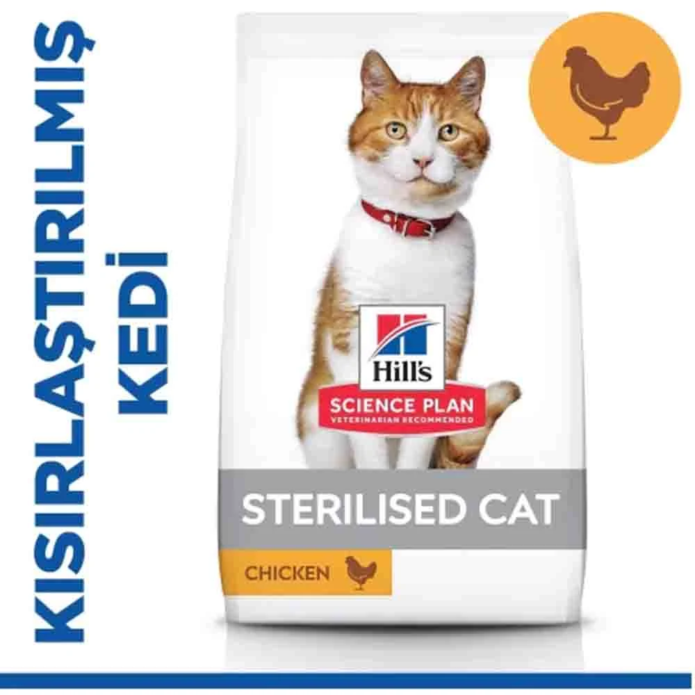 Görsel küçük resim 3