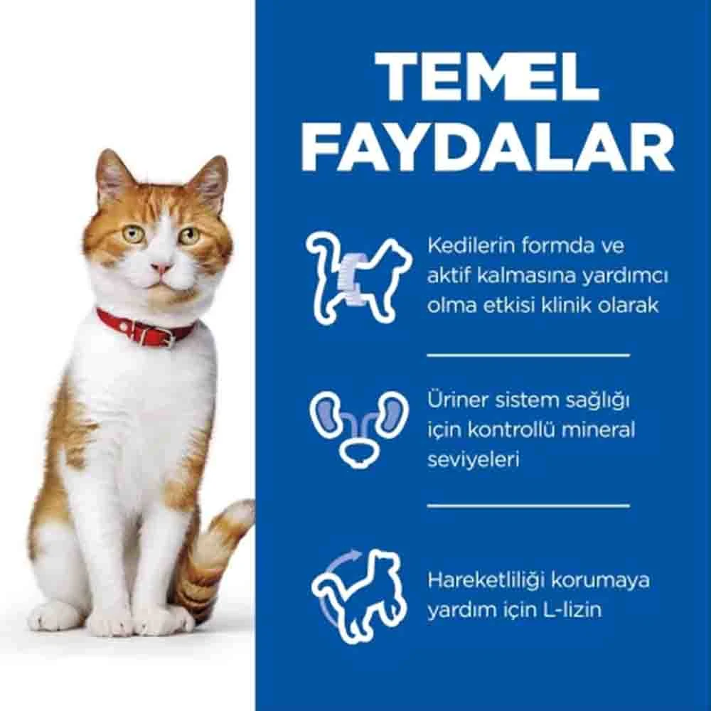 Görsel küçük resim 5