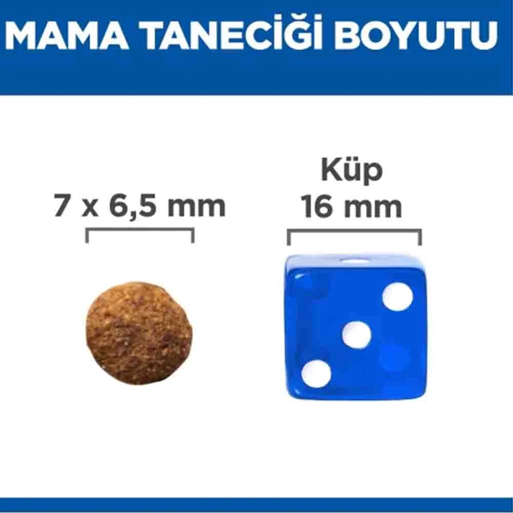 Görsel küçük resim 7