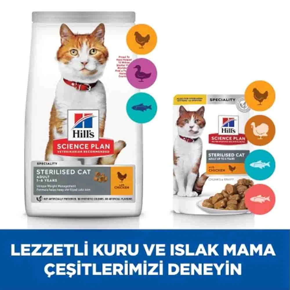 Görsel küçük resim 6