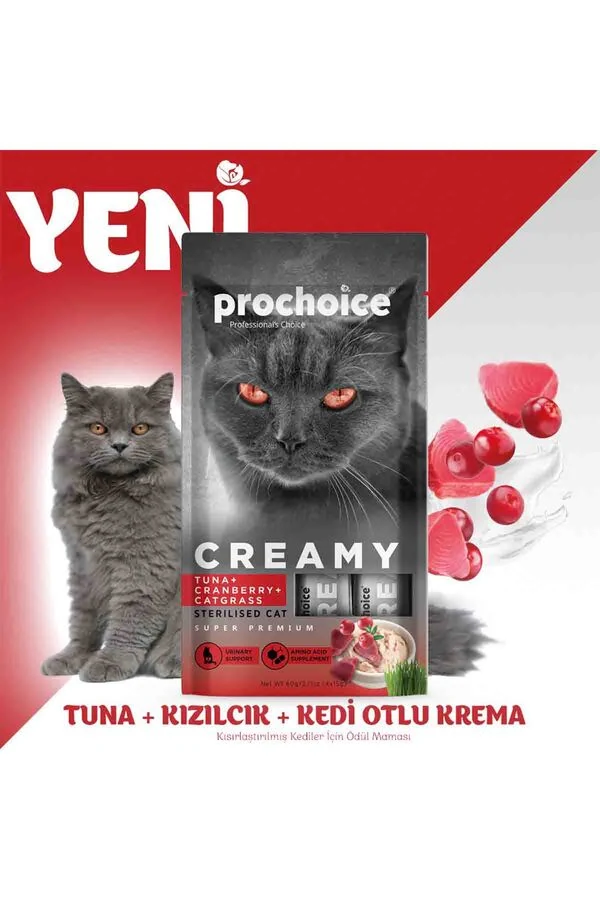 Görsel küçük resim 3