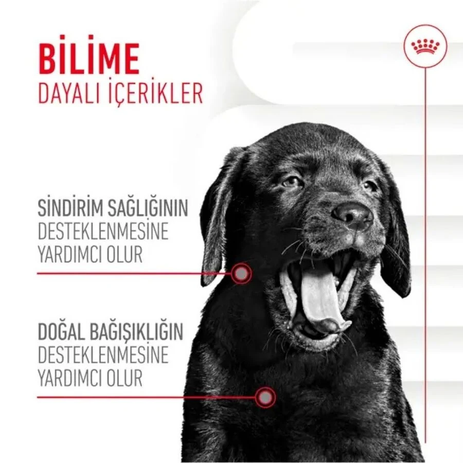 Görsel küçük resim 2