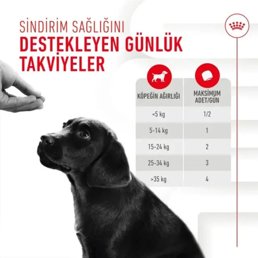 Görsel küçük resim 6