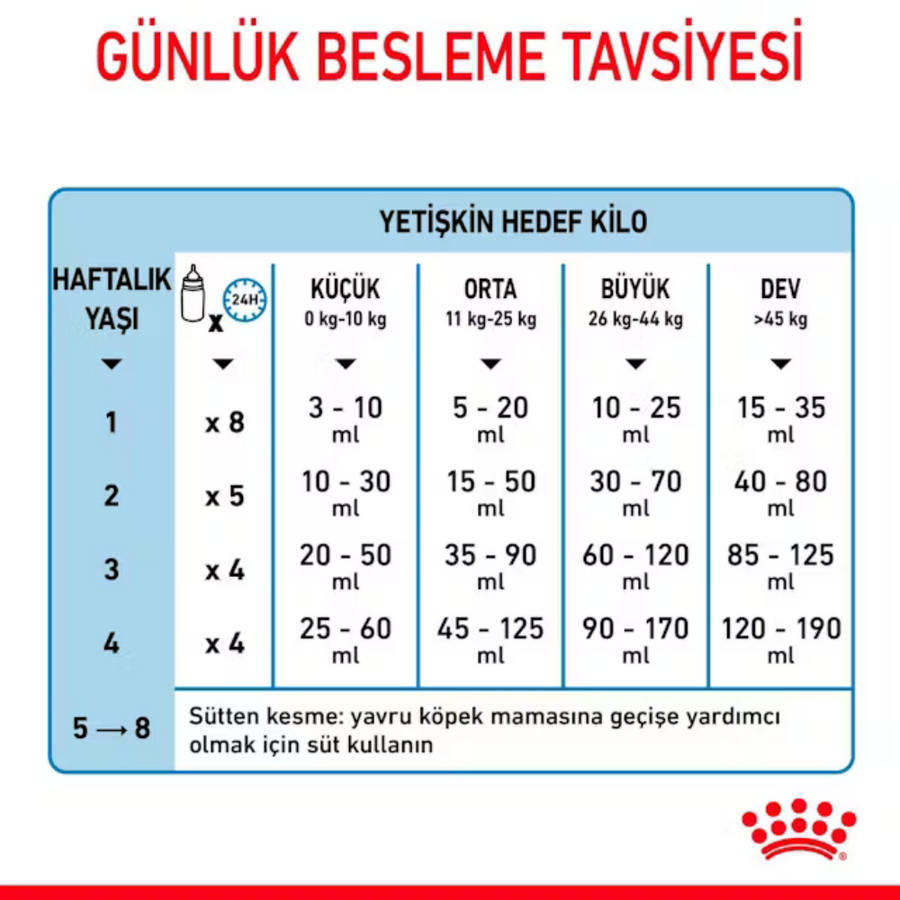 Görsel küçük resim 4