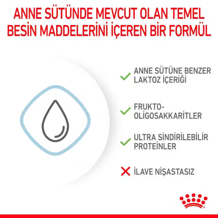 Görsel küçük resim 5