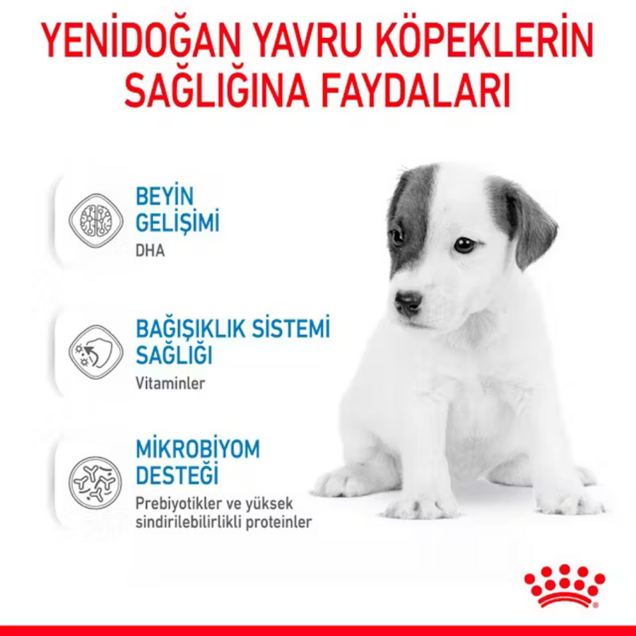 Görsel küçük resim 6
