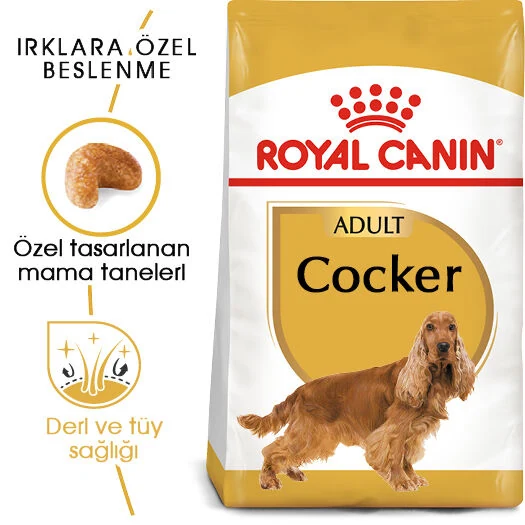 Görsel küçük resim 3