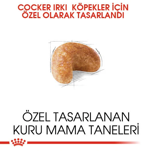 Görsel küçük resim 5