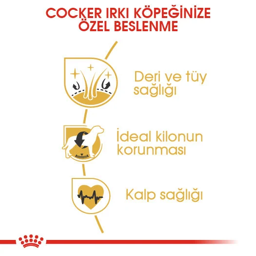 Görsel küçük resim 6