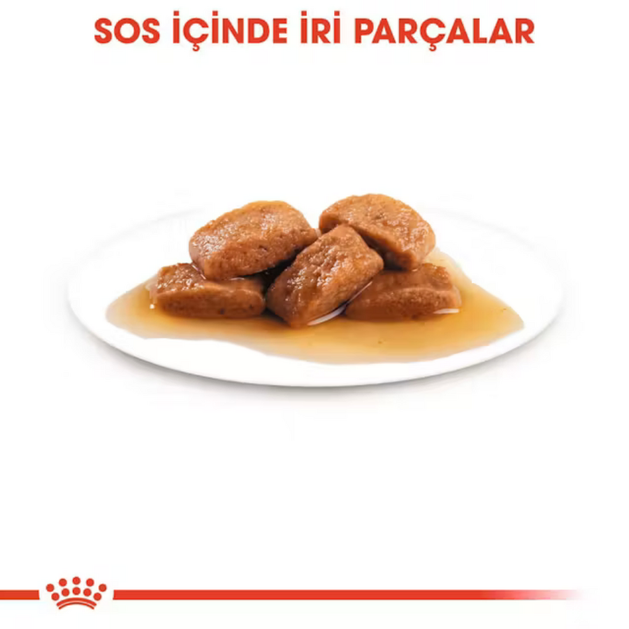 Görsel küçük resim 5