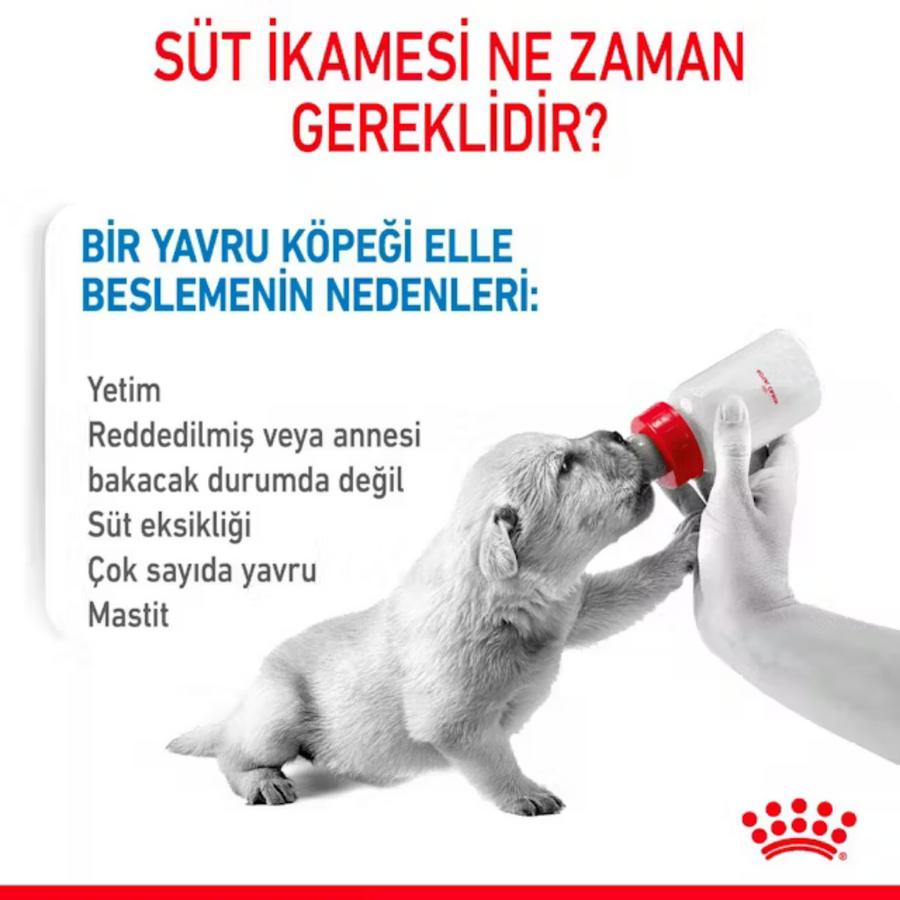 Görsel küçük resim 8