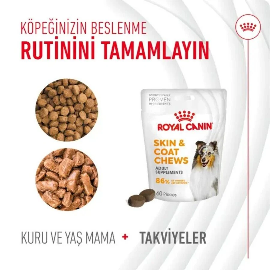Görsel küçük resim 3