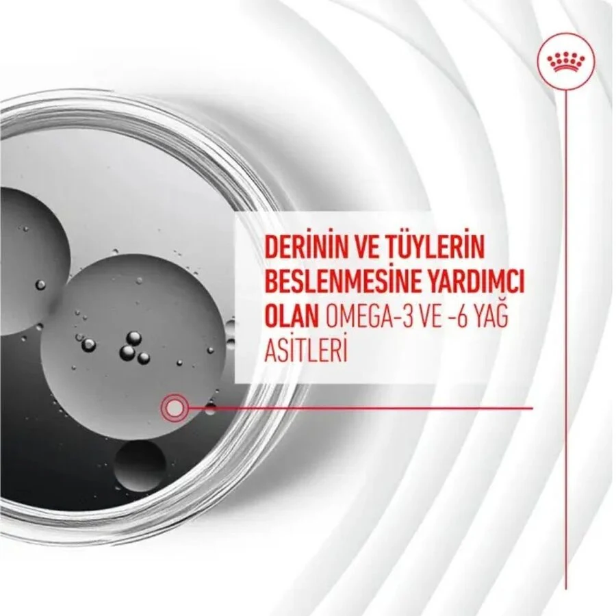 Görsel küçük resim 4