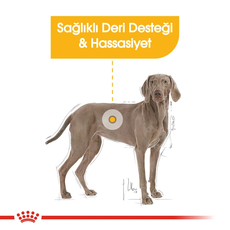Görsel küçük resim 3