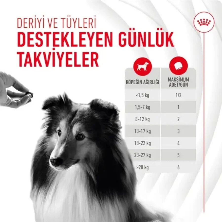 Görsel küçük resim 5