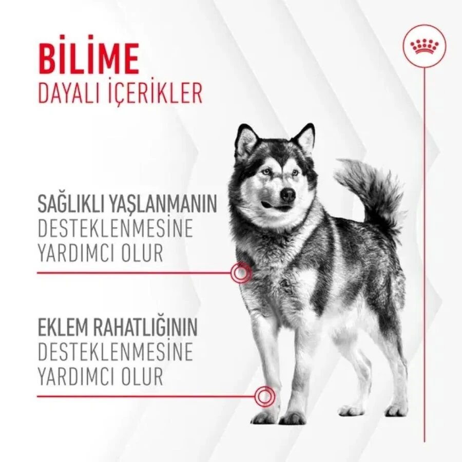 Görsel küçük resim 2