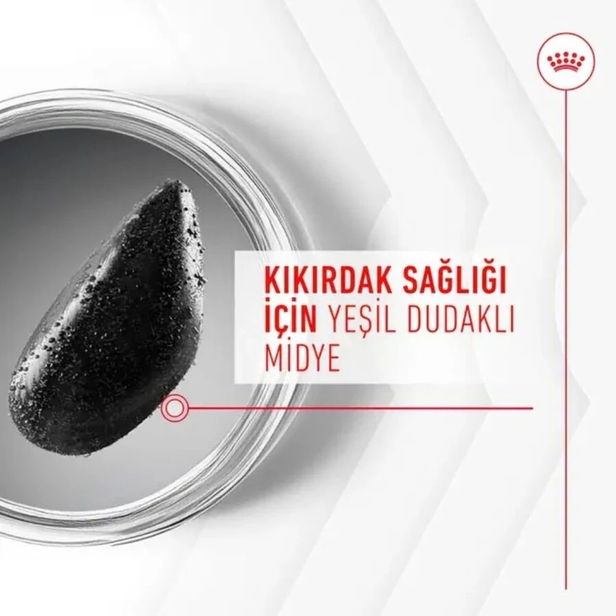 Görsel küçük resim 4