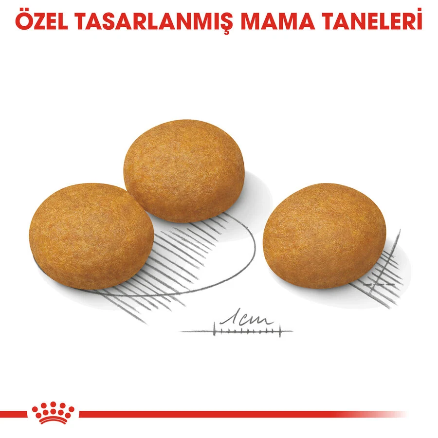 Görsel küçük resim 5