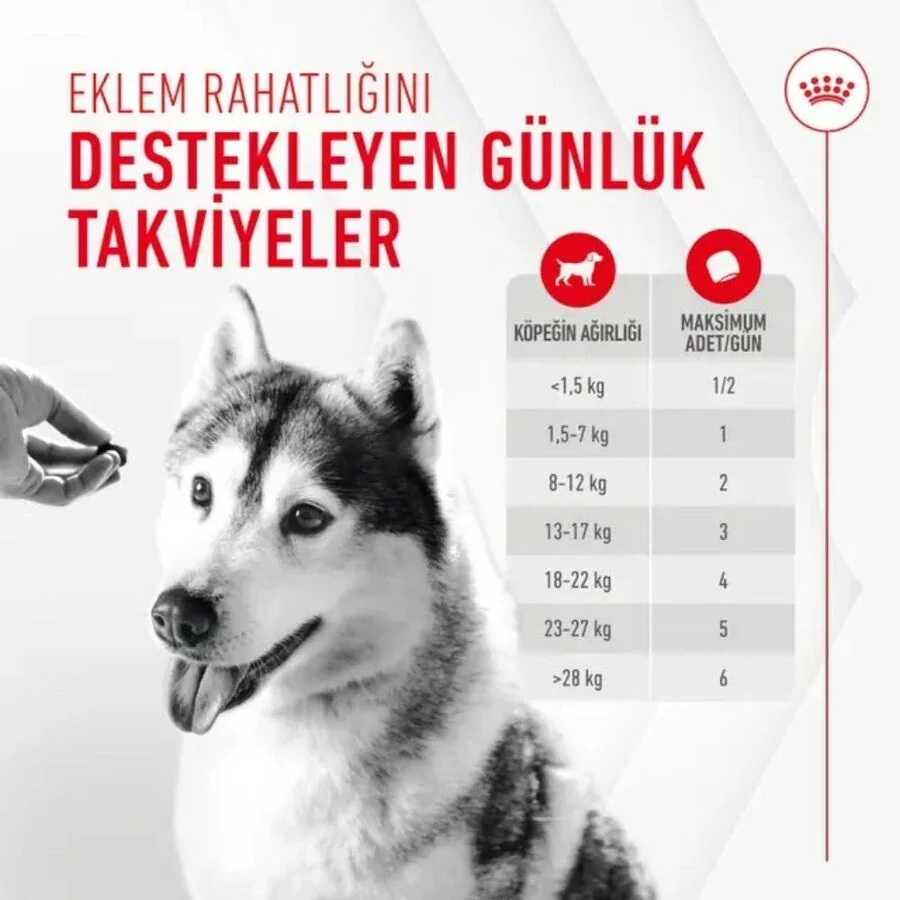 Görsel küçük resim 5