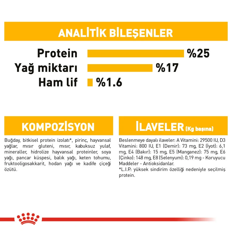 Görsel küçük resim 7