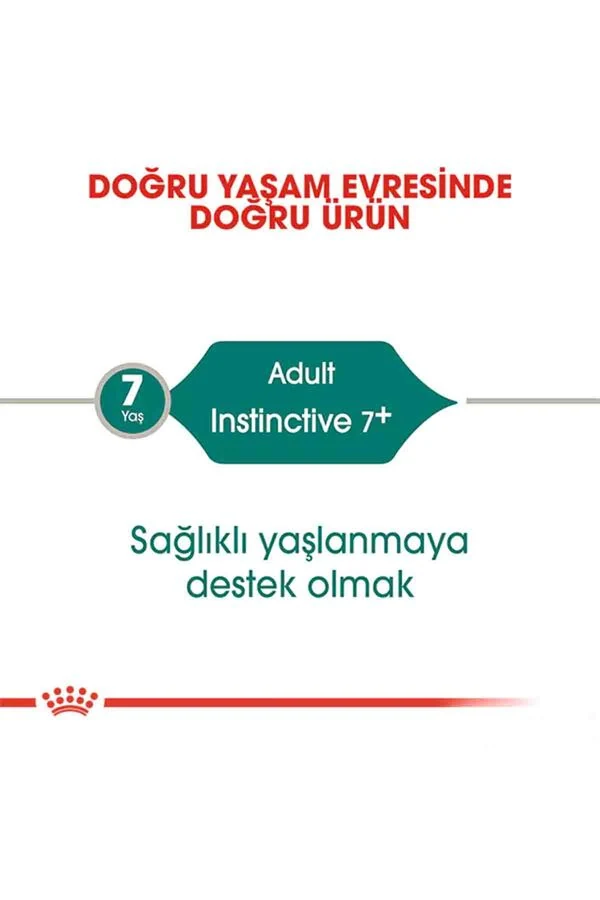 Görsel küçük resim 5