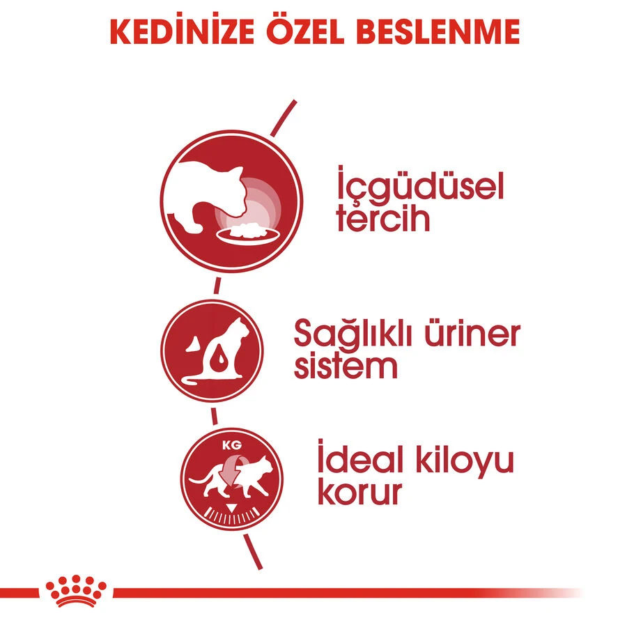 Görsel küçük resim 4