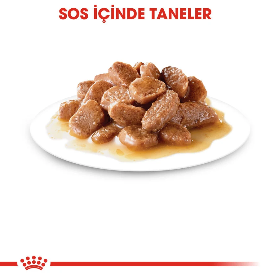 Görsel küçük resim 5