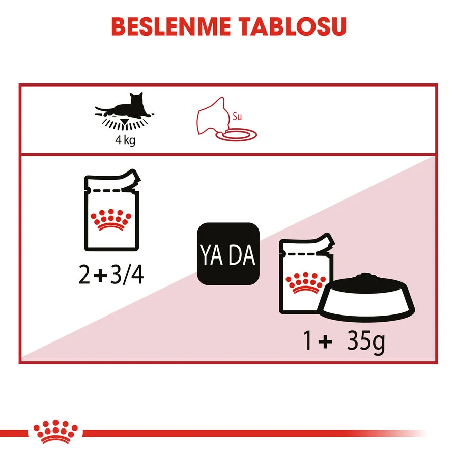 Görsel küçük resim 6